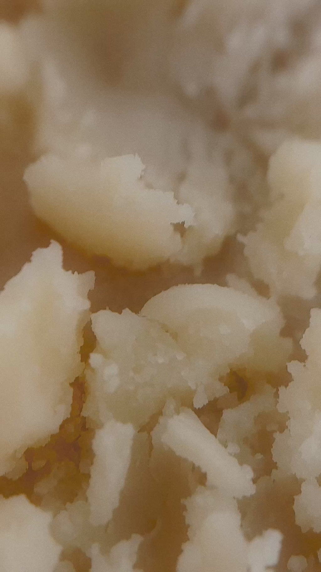 Tallow Lip Balm Trio (Vanilla Mint, Unscented, Tangerine)